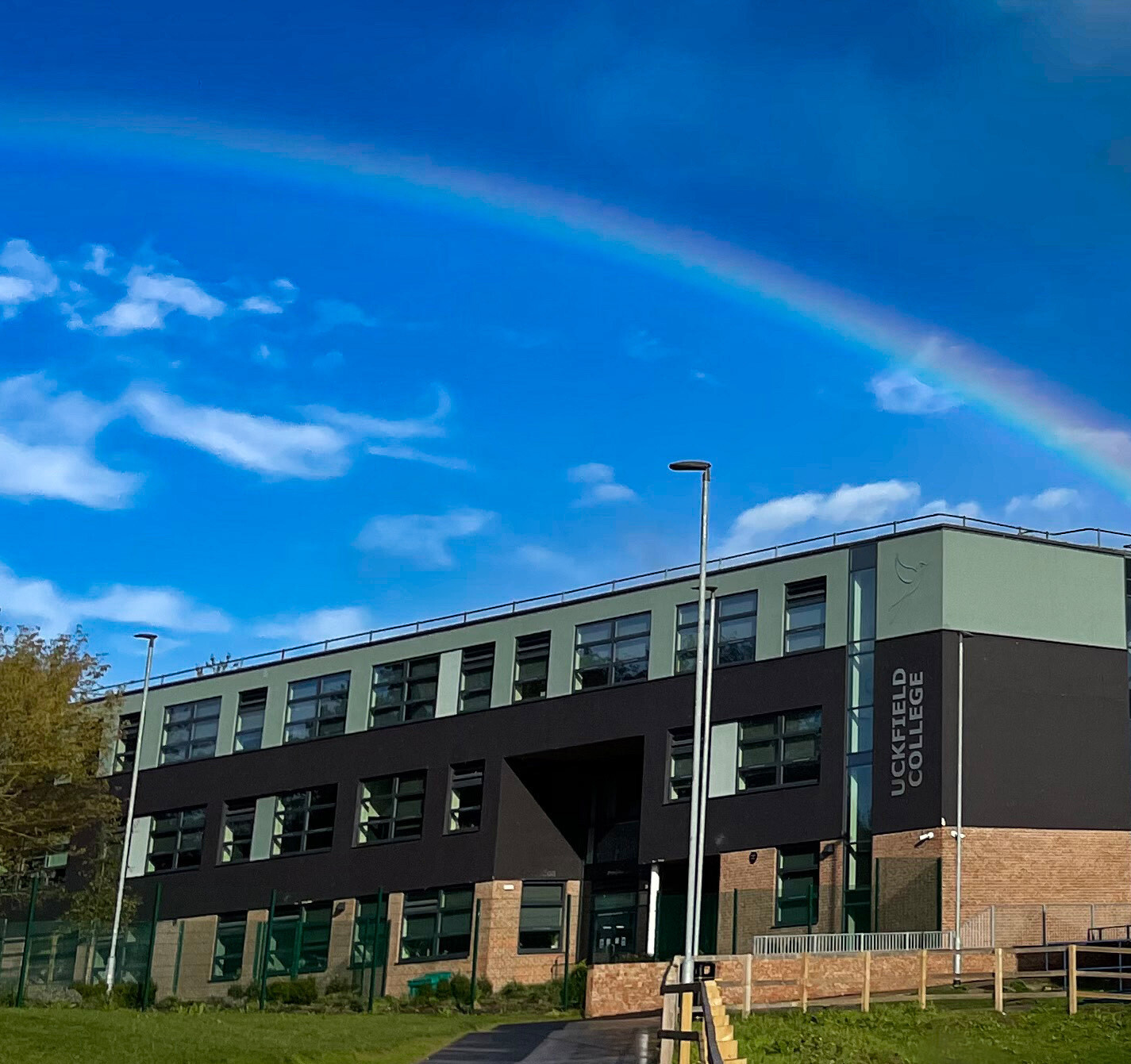 College Building with rainbow cropped