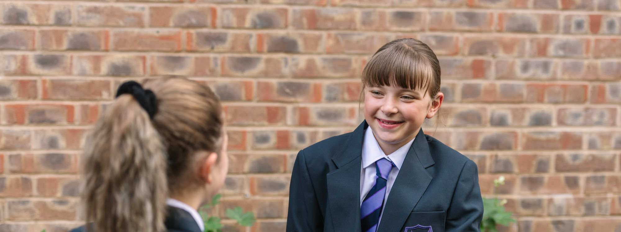 Copy of Copy of JP1 2411